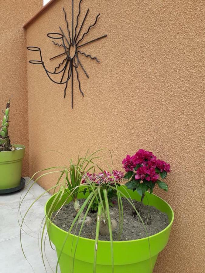Lili Villa Céret Exterior foto